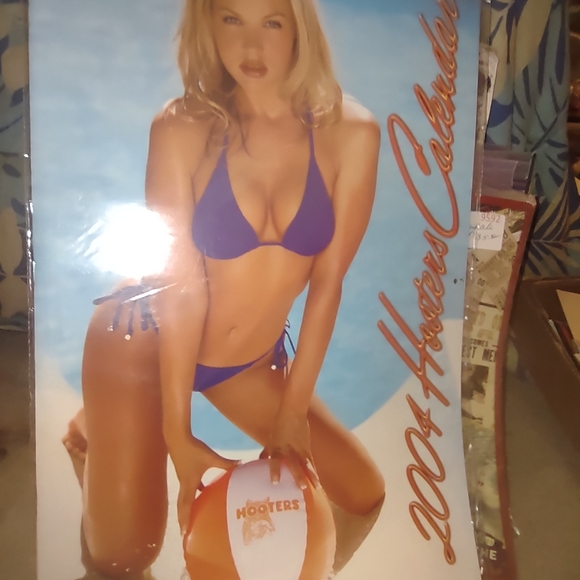 Hooter's Calendar new collectable - Picture 14 of 16